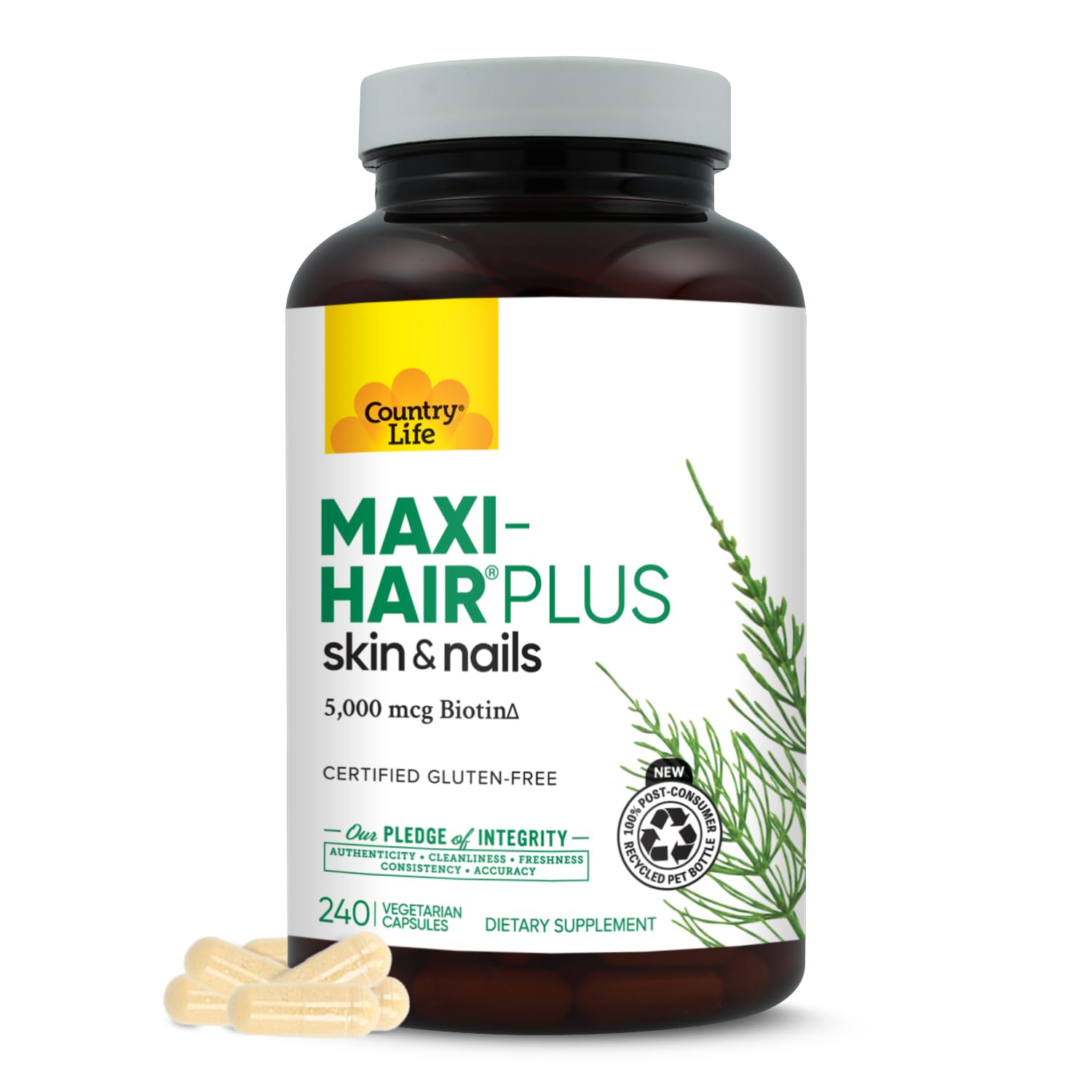 Country Life Maxi-Hair Plus 5000 mcg Biotin, 240 Vegetarian Capsules